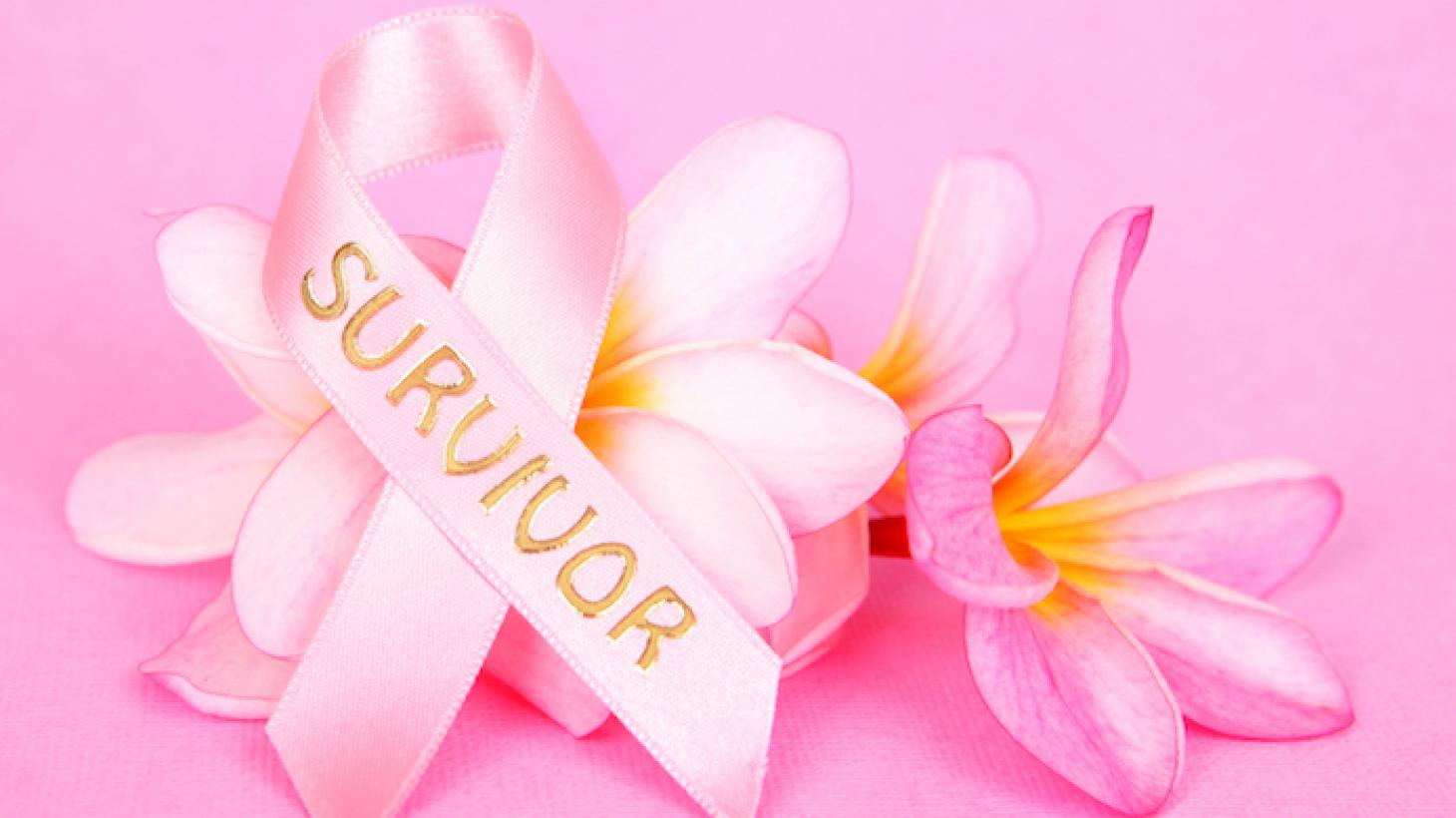 Breast Cancer Survivor Ribbon Breast Cancer Survivor Ribbon
